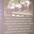 zdjęcie nr 95