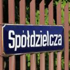 zdjęcie nr 11