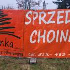 Fotka nr 2 z 6