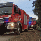 zdjęcie nr 7