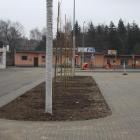 Fotka nr 4 z 11