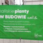 zdjęcie nr 21