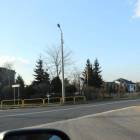 zdjęcie nr 8