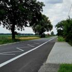 zdjęcie nr 9