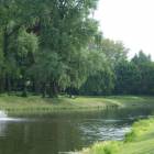 zdjęcie nr 33