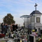 zdjęcie nr 338