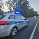 Fotka nr 1 z 7