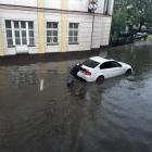 zdjęcie nr 8