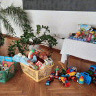 zdjęcie nr 13