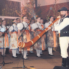 zdjęcie nr 234