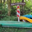 zdjęcie nr 