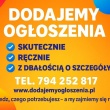 zdjęcie nr 