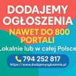 zdjęcie nr 