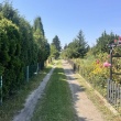 zdjęcie nr 
