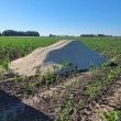 zdjęcie nr 