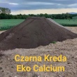 zdjęcie nr 