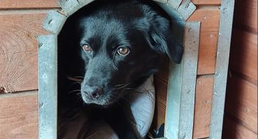 Greta