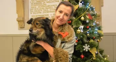 Jak pomóc zwierzętom w sylwestra - eksperci radzą