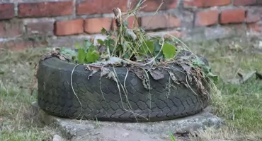 Nie tylko figurki wiewiórek a także stare samochodowe opony będą wyznaczały szlaki spacerowe Kalisza ?