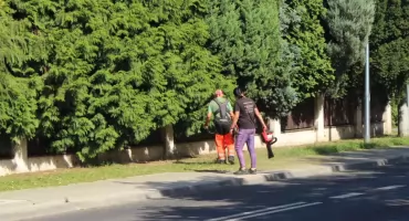Kosić czy nie kosić?
