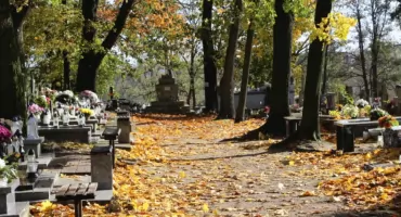 Hieny cmentarne gotowe do ataku