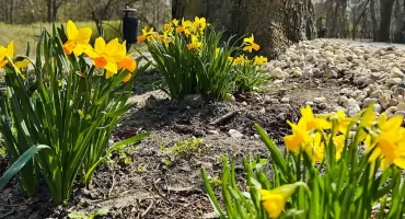 Wiosenne prace na terenach zieleni miejskiej